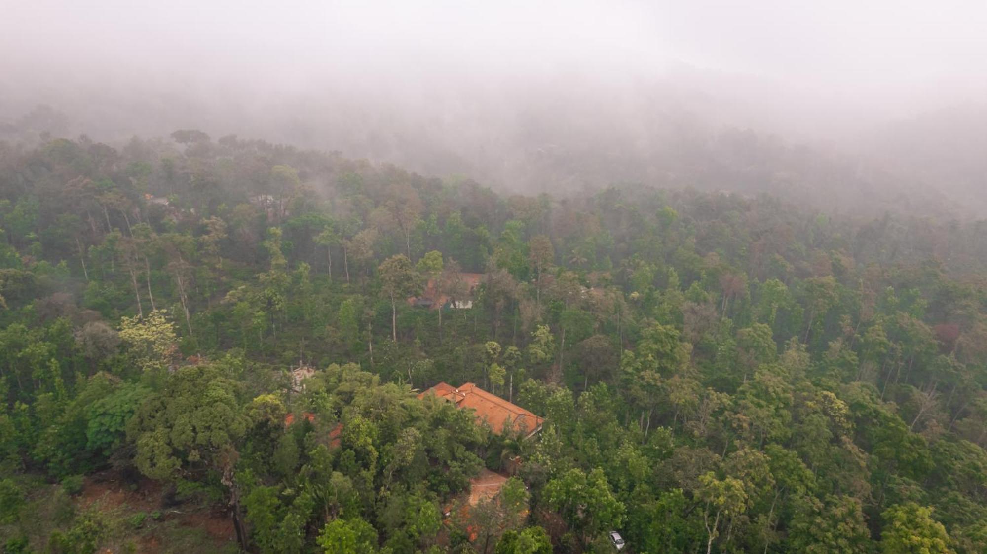 Kingmaker'S Plantation With River Stream Villa Madikeri Exterior photo